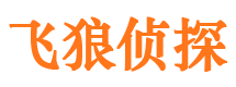 源城外遇调查取证